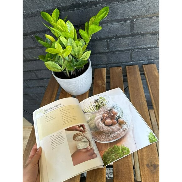 VTG Modern Terrarium Softcover Book Gardening Plants Cacti Gardening Botanical - Picture 3 of 4